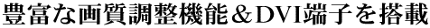 Lxȉ掿@\DVI[q𓋍