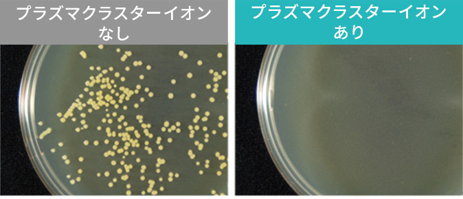 付着菌除菌効果:プラズマクラスターイオンあり・プラズマクラスターイオンなし比較