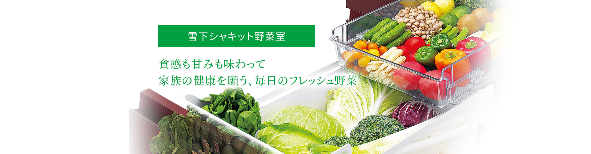 雪下シャキット野菜室|食感も甘みも味わって家族の健康を願う、毎日のフレッシュ野菜。