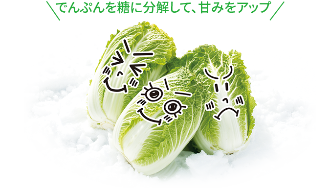 でんぷんを糖に分解して甘みをアップ