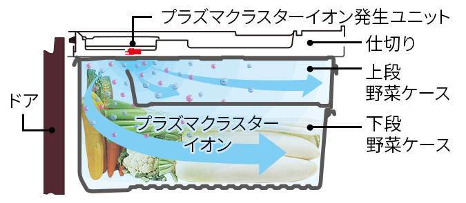 野菜室側面図