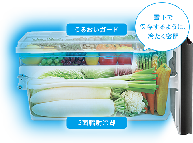 5面輻射冷却+うるおいガード