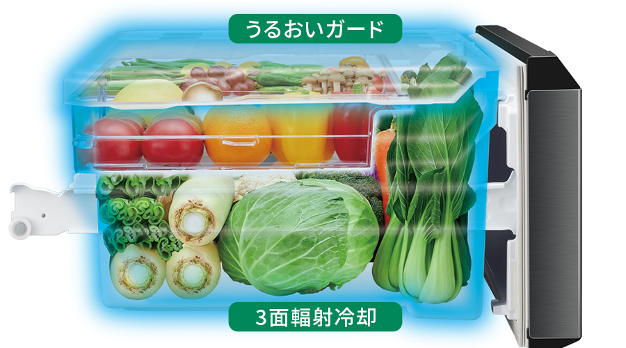 野菜室 | SJ-MF46P | 冷蔵庫：シャープ