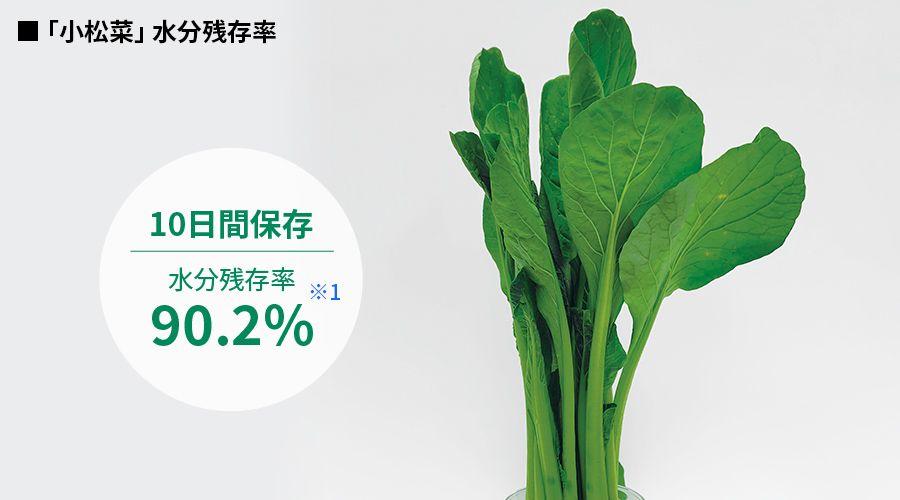 10日間保存した小松菜の水分残存率90.2%