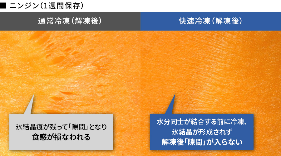 ニンジンの解凍後比較。通常冷凍は氷結晶により発生した隙間で食感が損なわれているが、快速冷凍では氷結晶による隙間が発生していない
