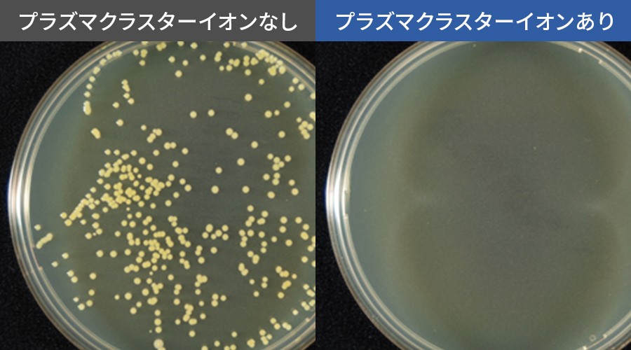 プラズマクラスターイオンなしとありの付着菌比較