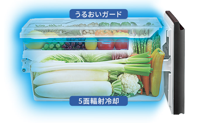 野菜を乾燥から守る雪下シャキット野菜室のイメージ