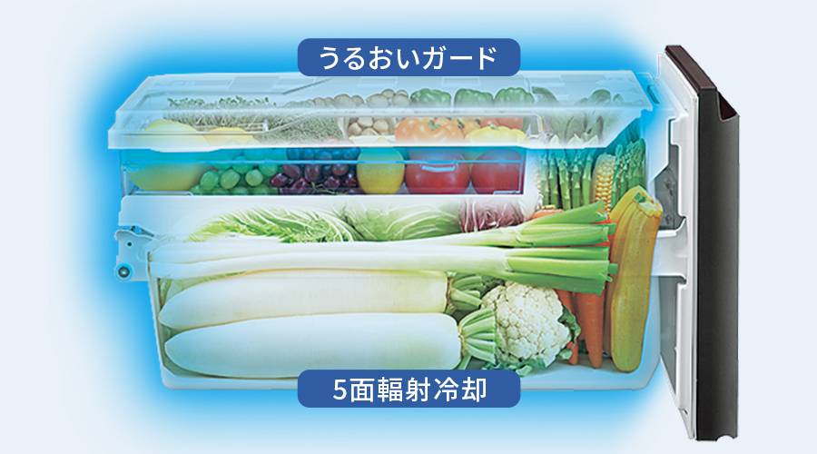 うるおいガードと5面輻射冷却で鮮度を守る