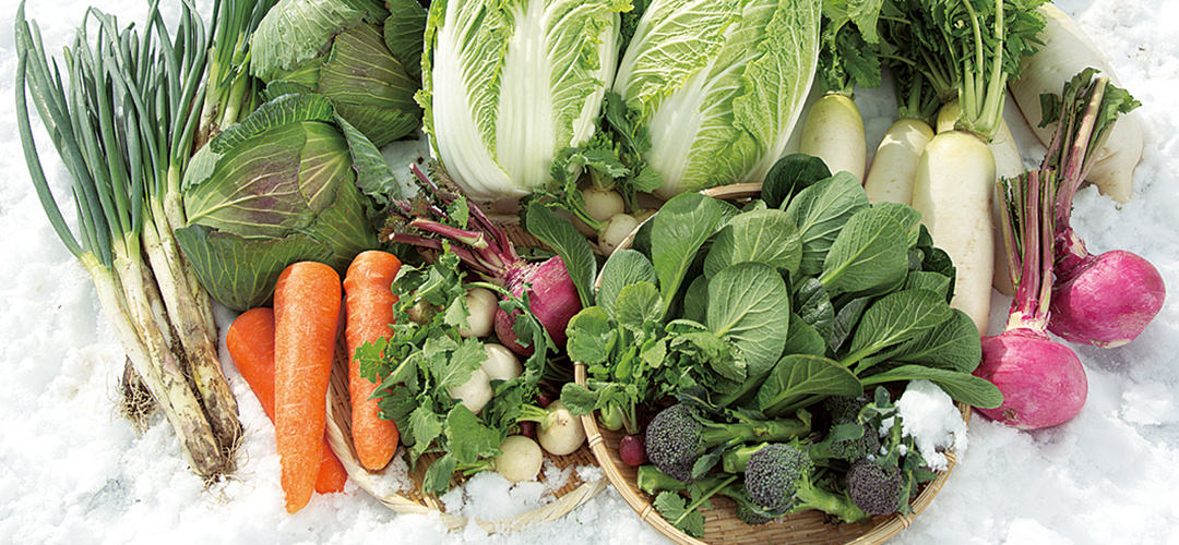 雪国の野菜イメージ
