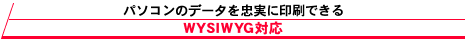 p\R̃f[^𒉎ɈłWYSIWYGΉ