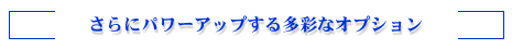 Ƀp[Abv鑽ʂȃIvV