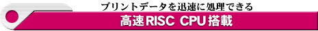 RISC CPU