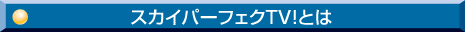 XJCp[tFNTV!Ƃ