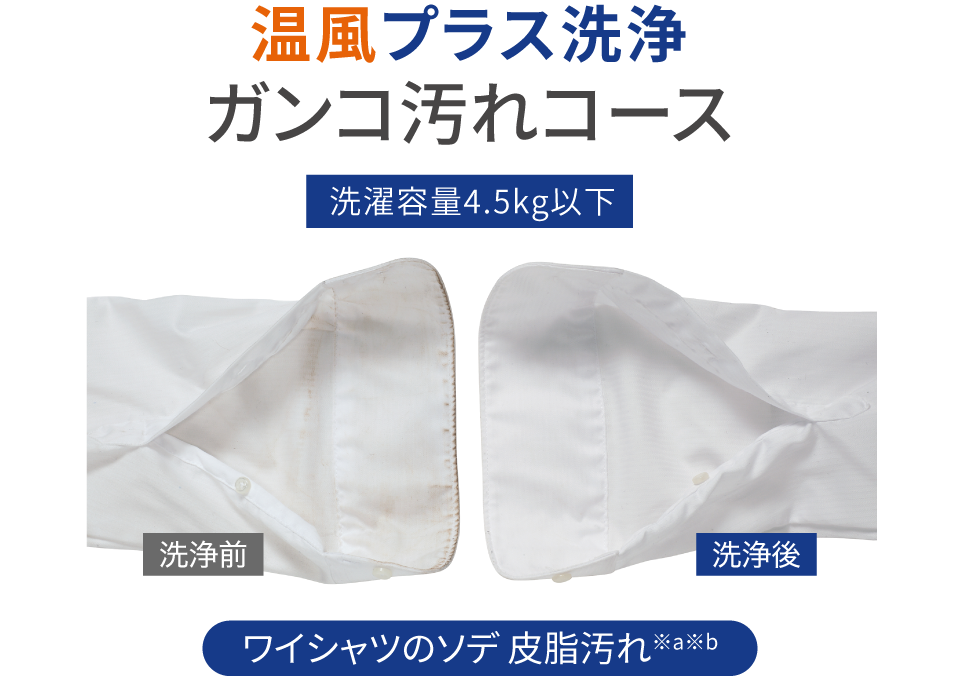 温風プラス洗浄 ガンコ汚れコース