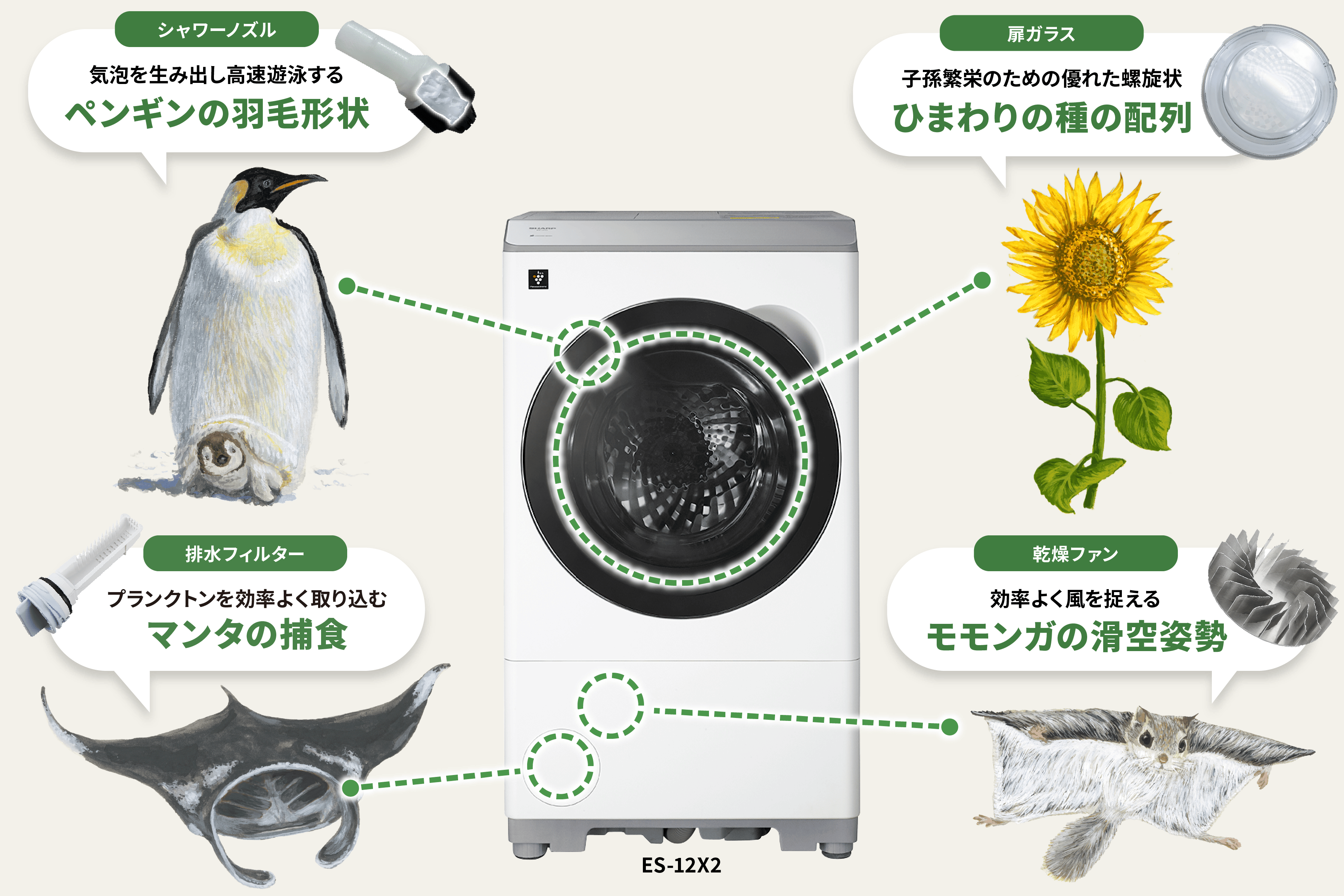 シャワーノズルには気泡を生み出し高速遊泳するペンギンの羽毛形状、乾燥ファンには効率よく風を捉えるモモンガの滑空姿勢、扉ガラスには子孫繁栄のため優れた螺旋状のひまわりの配列、排水フィルターにはプランクトンを効率よく取り込むマンタの捕食が採用されています