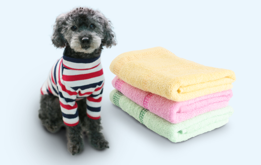 イメージ画像:ペット用衣類洗いコース（ガンコつけおきコースで対応）