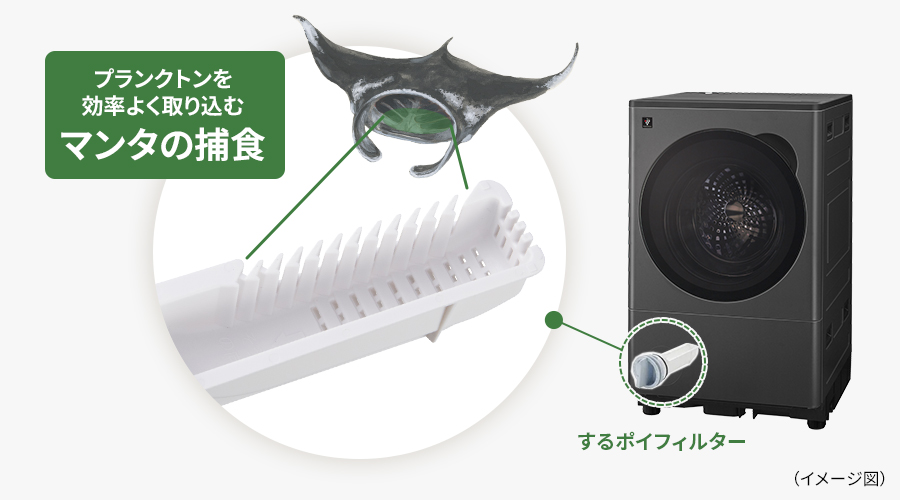 するポイフィルターの構造説明図。