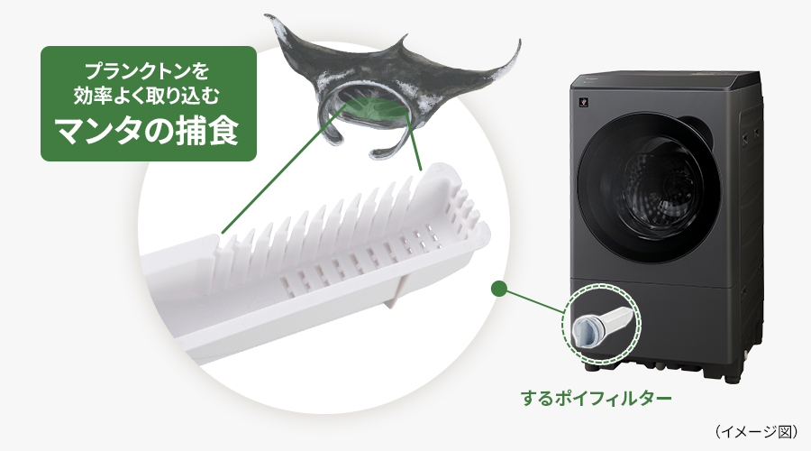 するポイフィルターの構造説明図。