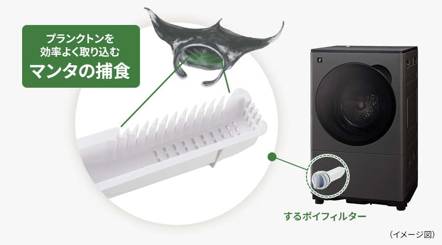 するポイフィルターの構造説明図。