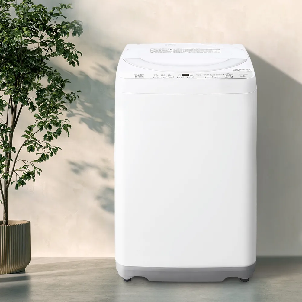 ドラム式洗濯乾燥機 ES-GE6K：-S（シルバー系）