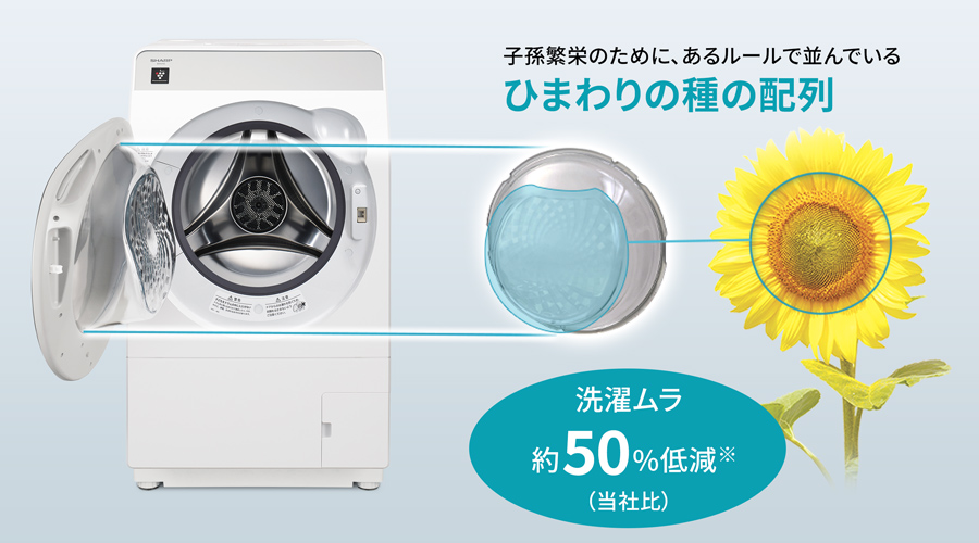 ひまわりの種の配列を応用したドアの裏の凹凸イメージ