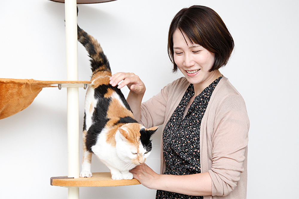 階段を下りる猫とオキエイコさんの写真
