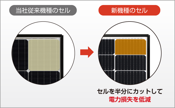 セル損失