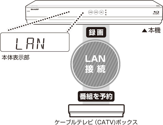 t3800_h007_lanreccatv.psd