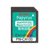PWCA100.jpg