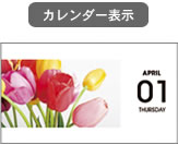 �J�����_�[�\����ʗ�