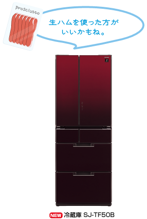 冷蔵庫 SJ-TF50B