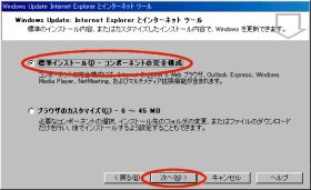 Internet Explorer ZbgAbv`̑I